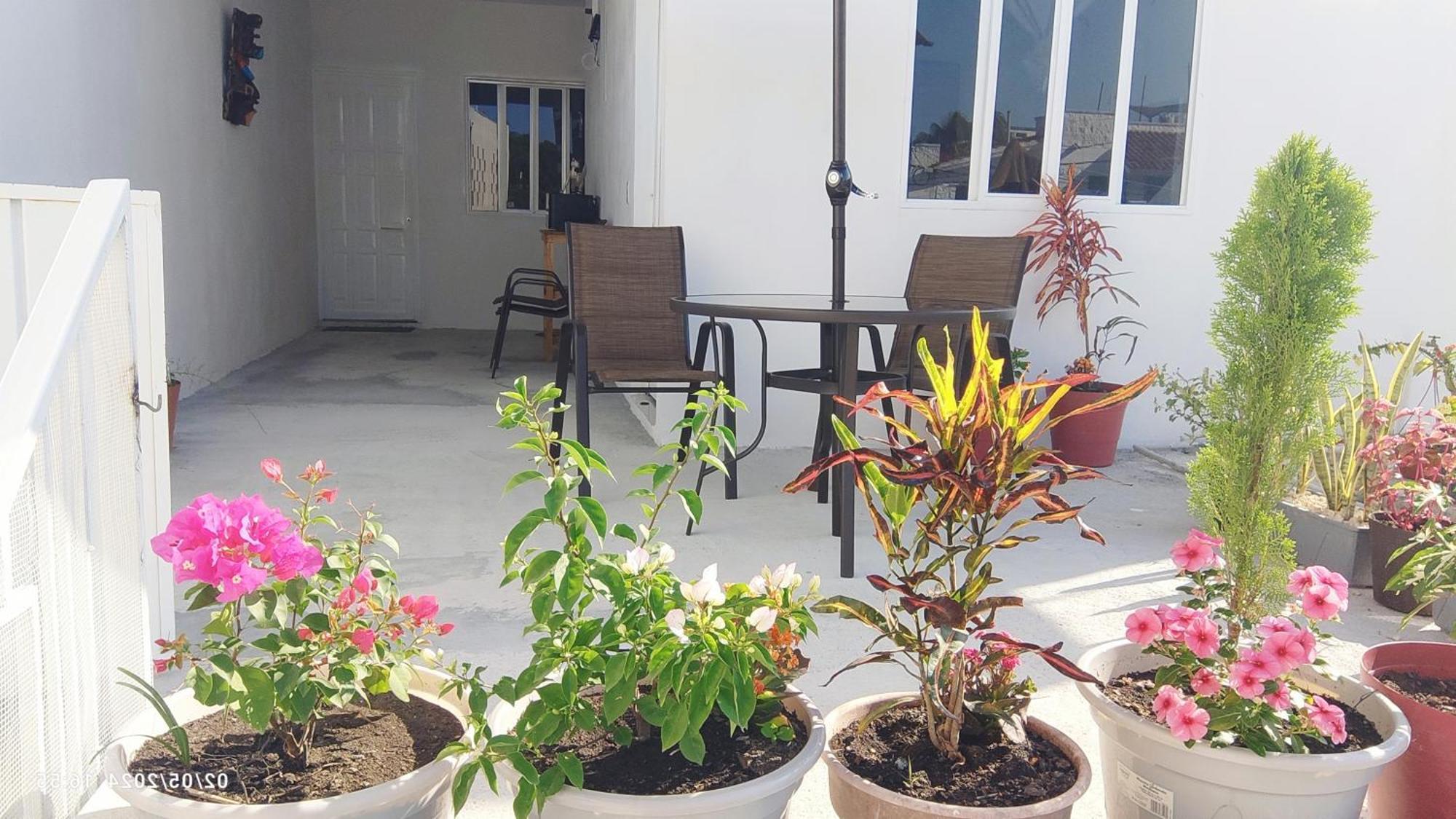 Hotel Tierra Maya Playa del Carmen Zewnętrze zdjęcie